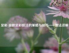 足彩 设胆足彩投注的策略与技巧——胆法详解