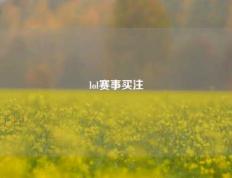 lol赛事买注