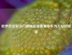 欧罗巴足彩冷门揭秘足球赛事中不为人知的惊喜