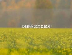 1分彩龙虎怎么区分
