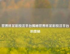 世界杯足彩投注平台揭秘世界杯足彩投注平台的奥秘