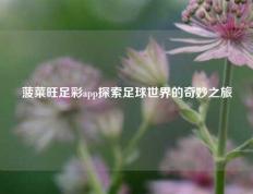 菠菜旺足彩app探索足球世界的奇妙之旅