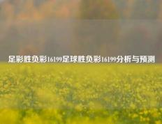 足彩胜负彩16199足球胜负彩16199分析与预测
