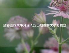 足彩篮球大小分深入浅出地理解大小分概念