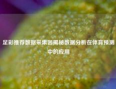足彩推荐数据采集器揭秘数据分析在体育预测中的应用