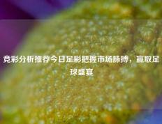 竞彩分析推荐今日足彩把握市场脉搏，赢取足球盛宴