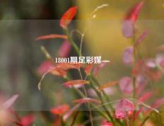 18001期足彩媒---