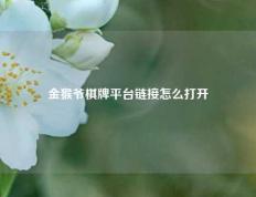 金猴爷棋牌平台链接怎么打开