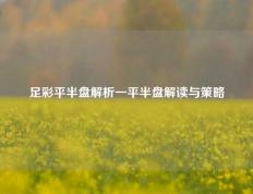 足彩平半盘解析一平半盘解读与策略