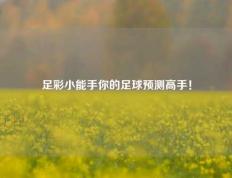足彩小能手你的足球预测高手！