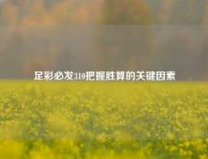 足彩必发310把握胜算的关键因素