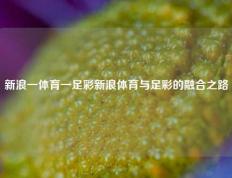 新浪一体育一足彩新浪体育与足彩的融合之路