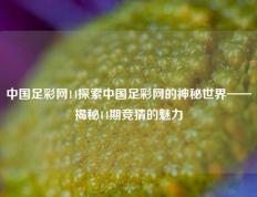 中国足彩网14探索中国足彩网的神秘世界——揭秘14期竞猜的魅力