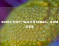 足彩篮彩即时比分掌握比赛实时动态，享受精彩赛事