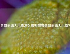 足彩半场大小盘怎么看如何看足彩半场大小盘？