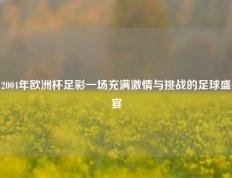 2004年欧洲杯足彩一场充满激情与挑战的足球盛宴