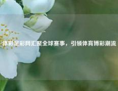 体彩足彩网汇聚全球赛事，引领体育博彩潮流