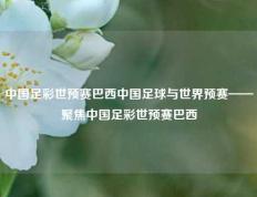 中国足彩世预赛巴西中国足球与世界预赛——聚焦中国足彩世预赛巴西