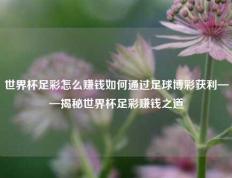 世界杯足彩怎么赚钱如何通过足球博彩获利——揭秘世界杯足彩赚钱之道