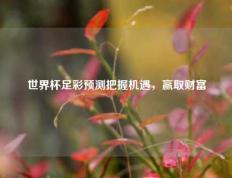世界杯足彩预测把握机遇，赢取财富