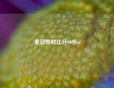 皇冠即时比分90小vs
