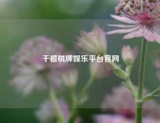 千禧棋牌娱乐平台官网