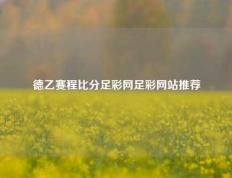 德乙赛程比分足彩网足彩网站推荐