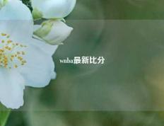 wnba最新比分