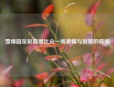 雪缘园足彩直播比分一场激情与智慧的碰撞