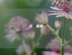 众慱棋牌