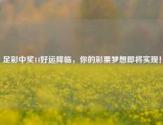 足彩中奖14好运降临，你的彩票梦想即将实现！