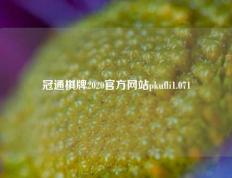 冠通棋牌2020官方网站pkufli1.071