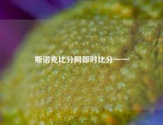 斯诺克比分网即时比分一一
