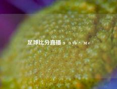 足球比分直播ззyb·мe