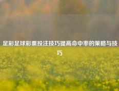足彩足球彩票投注技巧提高命中率的策略与技巧