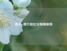 热火vs独行侠比分预测推荐