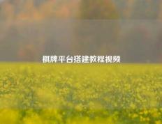 棋牌平台搭建教程视频