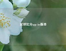 足球比分app ios版本