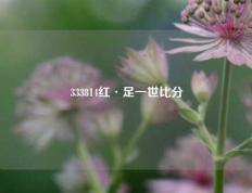 333814红·足一世比分