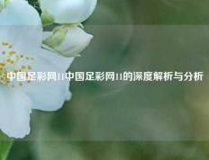 中国足彩网11中国足彩网11的深度解析与分析