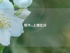 恒大vs上港比分