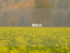 堔球比分