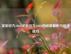 足彩任九18028足彩任九18028的深度解析与投注技巧