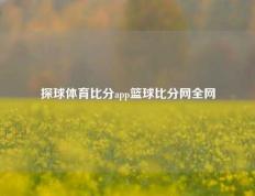 探球体育比分app篮球比分网全网
