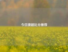 今日澳超比分推荐