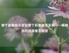 那个彩票能买足彩那个彩票能买足彩——揭秘你的选择是否明智