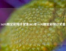 16193期足彩预计奖金2023年16193期足彩预计奖金