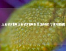 足彩资料库足彩资料库的全面解读与使用指南