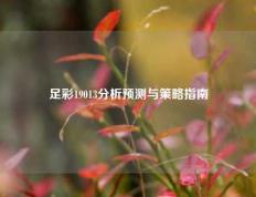 足彩19013分析预测与策略指南
