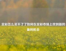 足彩怎么买不了了如何在足彩市场上找到新的盈利机会